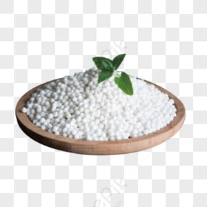 Sabudana