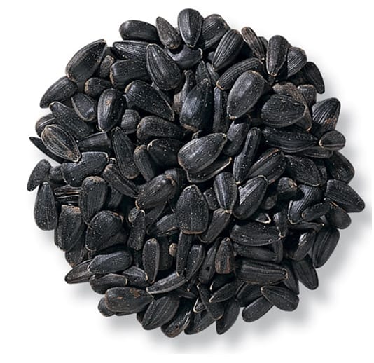 Sunflower Seeds