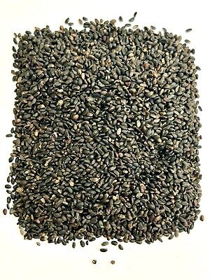 Chia Seeds