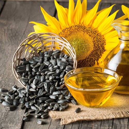 Sunflower Seeds
